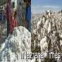 Pakistan’s Cotton Sector in Crisis Amid Conflicting Harvest Reports