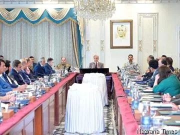 ਜੰਗਬੰਦੀ ਇਤਿਹਾਸ ਦਾ “ਸ਼ਾਨਦਾਰ ਪਲ”: ਪੀਐਮ ਸ਼ਹਬਾਜ਼ ਸ਼ਰੀਫ