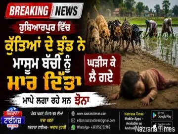 Breaking ਹੁਸ਼ਿਆਰਪੁਰ ਵਿੱਚ ਕੁੱਤਿਆਂ ਦੇ ਝੁੰਡ ਨੇ ਮਾਸੂਮ ਬੱਚੀ ਨੂੰ ਮਾਰ ਦਿੱਤਾ, ਘੜੀਸ ਕੇ ਲੈ ਗਏ, ਮਾਪੇ ਲਗਾ ਰਹੇ ਸਨ ਝੋਨਾ