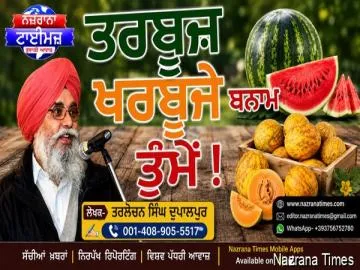 ਤਰਬੂਜ਼ ਖਰਬੂਜੇ ਬਨਾਮ ਤੁੰਮੇਂ !