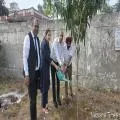 कोर्ट कॉम्प्लेक्स में प्रशासनिक अधिकारियों ने लगाए फलदार पौधे