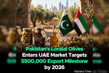 Loralai Olives Becomes First Pakistani & South Asian EVOO Brand to Enter UAE Market