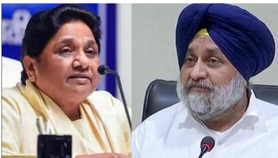 ਪੰਜਾਬ ਦੀ ਸਿਆਸਤ ਨਾਲ ਜੁੜੀ ਵੱਡੀ ਖਬਰ, SAD ਅਤੇ BSP ਵਿਚਾਲੇ ਹੋਇਆ ਗੱਠਜੋੜ