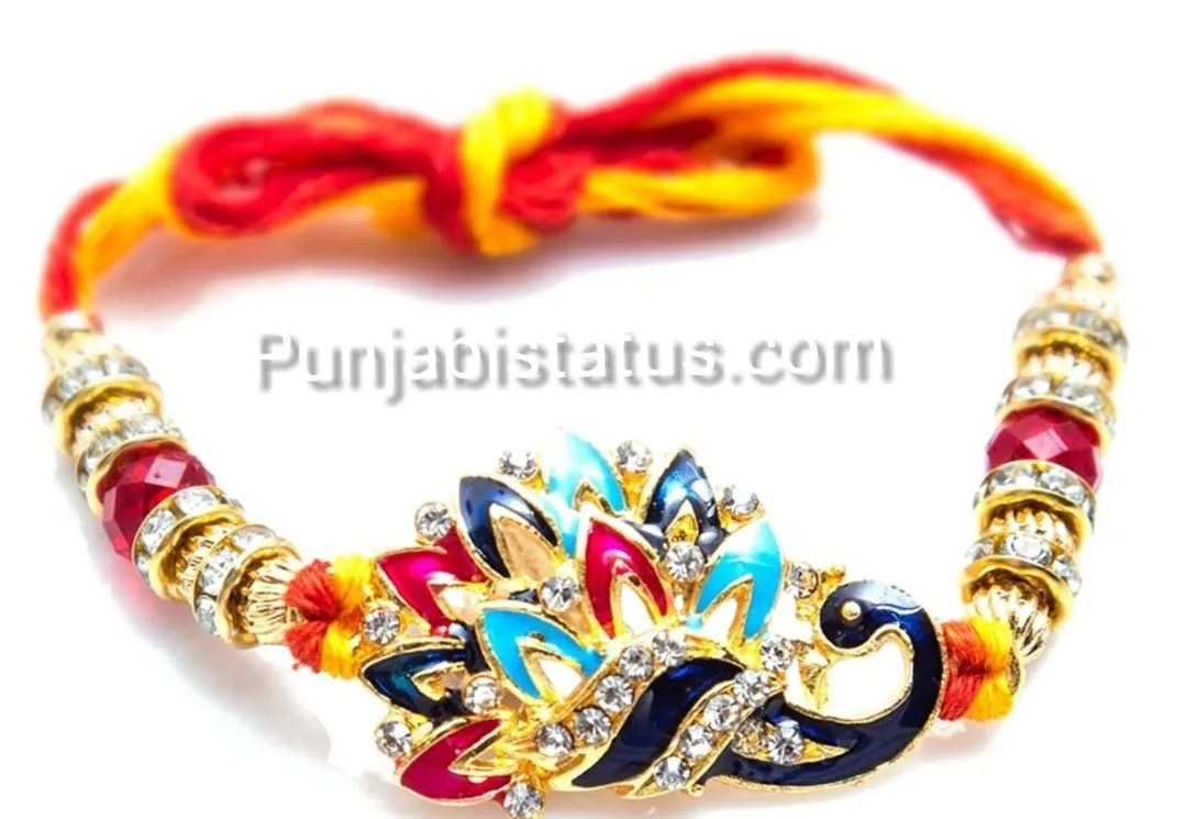 ਆਉਣ ਵਾਲੀ ਹੈ ਤੁਹਾਡੀ ਰੱਖੜੀ...