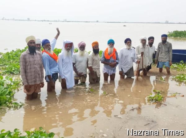 ਦਰਿਆ ਬਿਆਸ ਵਿੱਚ ਪਾਣੀ ਦਾ ਪੱਧਰ ਵਧਣ ਕਰਕੇ ਮੰਡ ਖੇਤਰ ਦੇ ਕਿਸਾਨਾਂ ਦੀਆਂ ਫਸਲਾਂ ਡੁੱਬੀਆਂ 