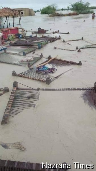 पाकिस्तान बाढ़ संकट: सिंध पर मंडरा रहा नया खतरा, लाखों लोग विस्थापित