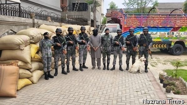 पंजाब CNF का बड़ा एक्शन: 5.1 टन नशा बरामद, 33 तस्कर गिरफ्तार