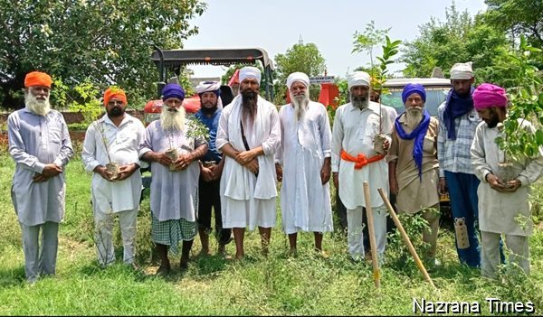 ਸੰਪਰਦਾਇ ਕਾਰ ਸੇਵਾ ਸਰਹਾਲੀ ਸਾਹਿਬ ਵੱਲੋਂ ਪੌਦੇ ਲਗਾਉਣ ਦਾ ਸੇਵਾ ਕਾਰਜ ਵੱਡੇ ਪੱਧਰ 'ਤੇ ਜਾਰੀ