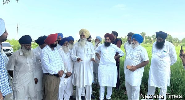 ਬਿਆਸ ਦਰਿਆ ਨਾਲ ਲੱਗਦੇ ਪਿੰਡਾਂ ਦੇ ਕਿਸਾਨਾਂ ਦੀ ਮਦਦ ਲਈ ਅੱਗੇ ਆਏ ਸਰਪੰਚ ਬਿੱਲਾ ਸ਼ੇਰੋਂ