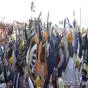 ਪੁਰਾਣੇ ਪੰਥਕ/ਖ਼ਾਲਿਸਤਾਨੀ ਆਗੂ ਬਨਾਮ ਅਜੋਕੇ ਸਿੱਖ ਨੌਜਵਾਨ ਆਗੂ