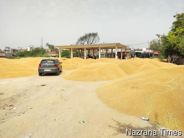 ਦਾਣਾ ਮੰਡੀ ਵਿੱਚ ਤਬਦੀਲ ਹੋਇਆ ਖੇਮਕਰਨ ਸ਼ਹਿਰ ਦਾ ਬੱਸ ਅੱਡਾ