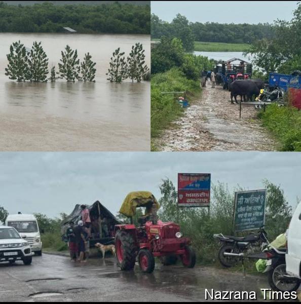 Punjab Flood News ਸ੍ਰੀ ਹਰਿਗੋਬਿੰਦਪੁਰ ਤੋਂ ਟਾਂਡਾ  ਤੇ ਵਧਿਆ ਬਿਆਸ ਦਾ ਪਾਣੀ