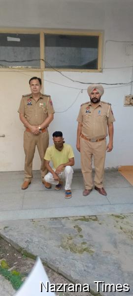 ਥਾਣਾ ਭੋਗਪੁਰ ਦੀ ਪੁਲਿਸ ਵੱਲੋਂ ਦੋ ਨਸ਼ਾ ਤਸਕਰ  ਨਸ਼ੀਲੇ ਪਦਾਰਥ ਸਮੇਤ ਕਾਬੂ